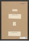 Odontidium mutabile W. Sm. (de-Toni-Nr.: Genus 59, Species 2545) Zeichnungen Sammlung Grunow Nr. 5104 (NHMW-BOT-W0373388)